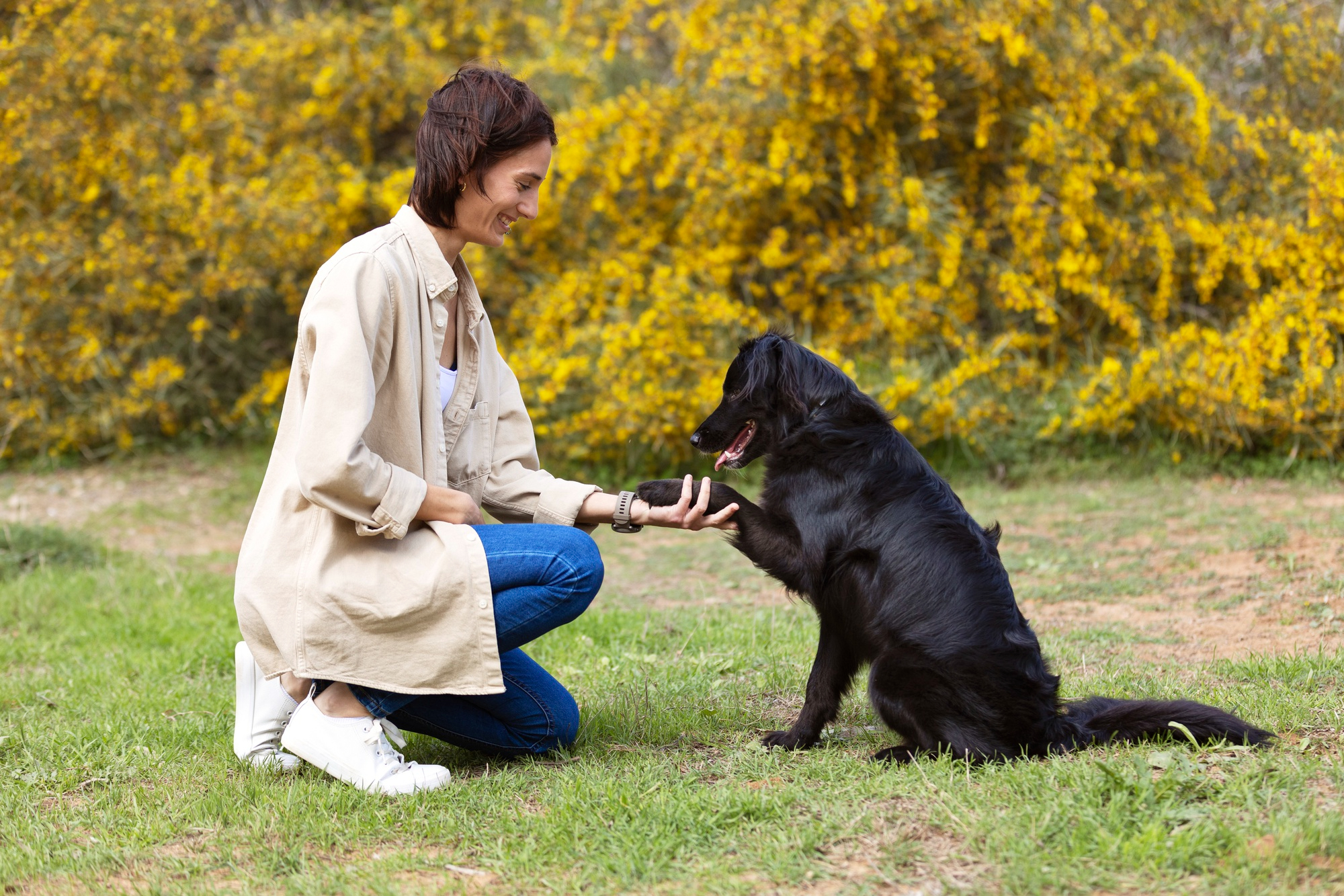 puppy training Ottawa in home session with calm dog and owner