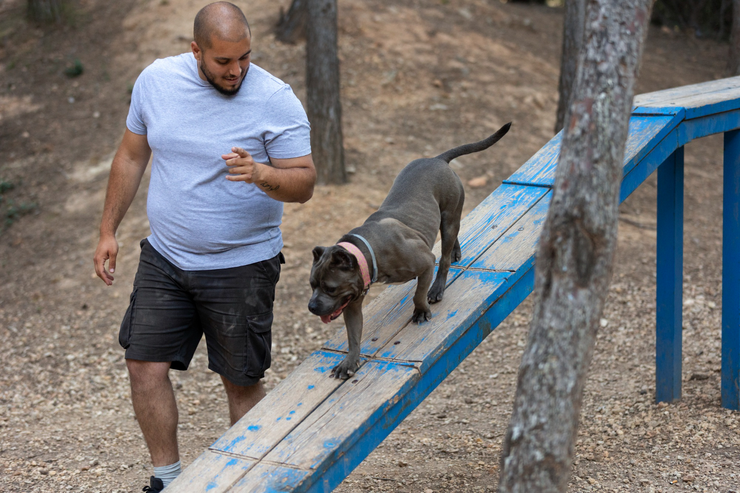 Summer off-leash safety in Ottawa and Gatineau with man and dog in park
