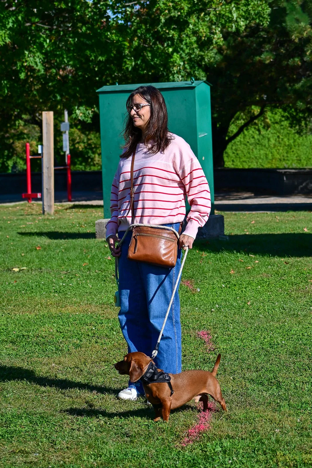 BetterDog dogs and their people at a Pack Walk