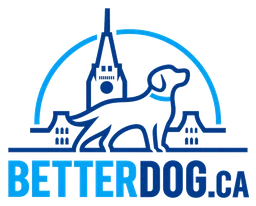 BetterDog.ca