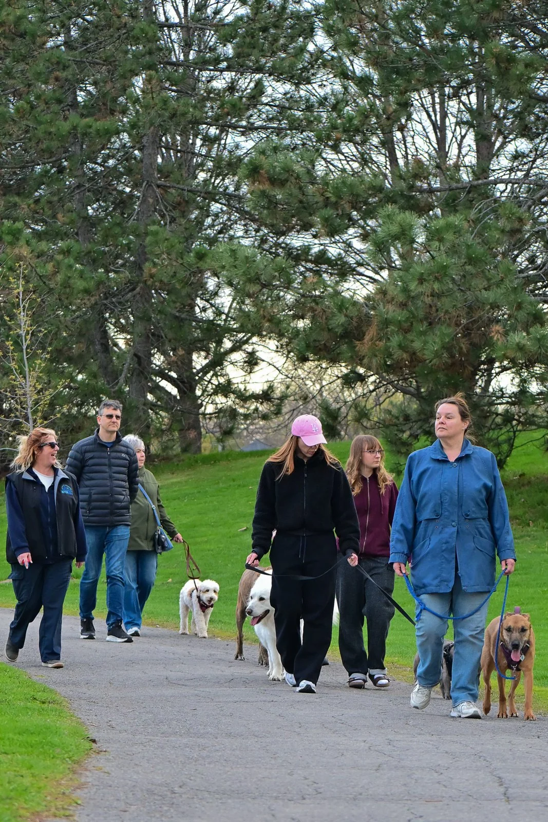 People walking their dogs at a BetterDog Pack Walk