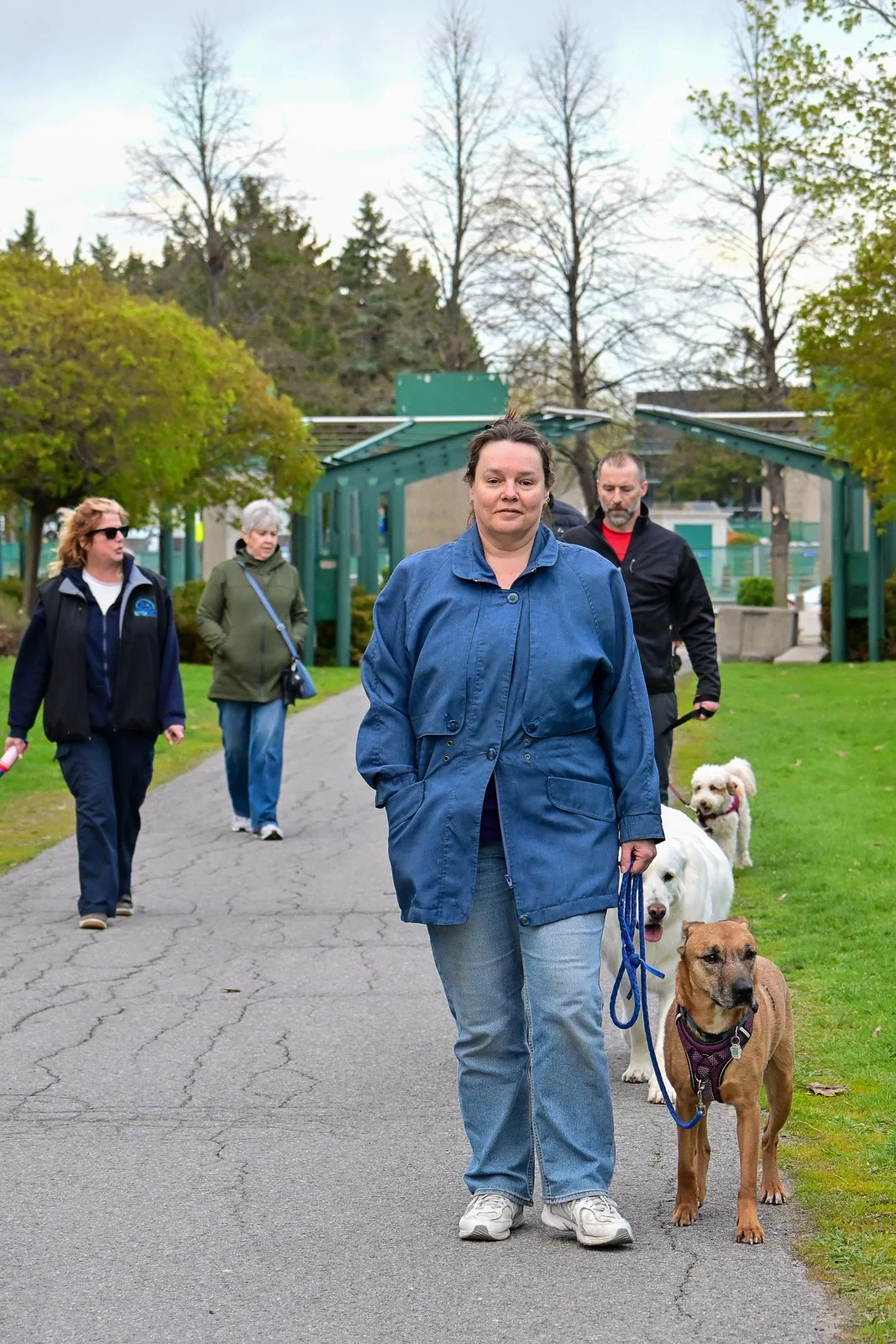 BetterDog dogs and their people at a Pack Walk