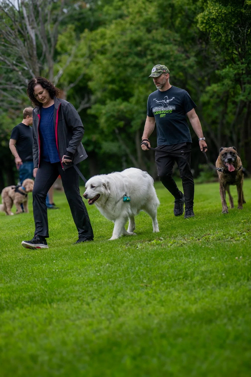 BetterDog dogs and their people at a Pack Walk