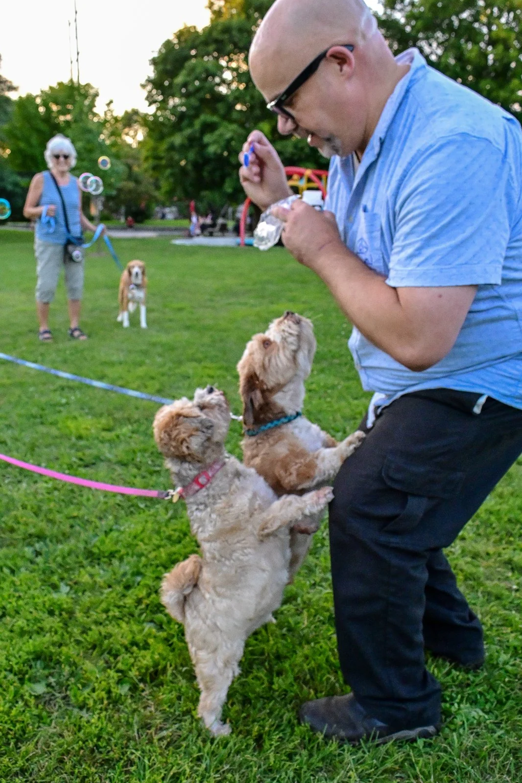 Jon working with a dog outdoors
