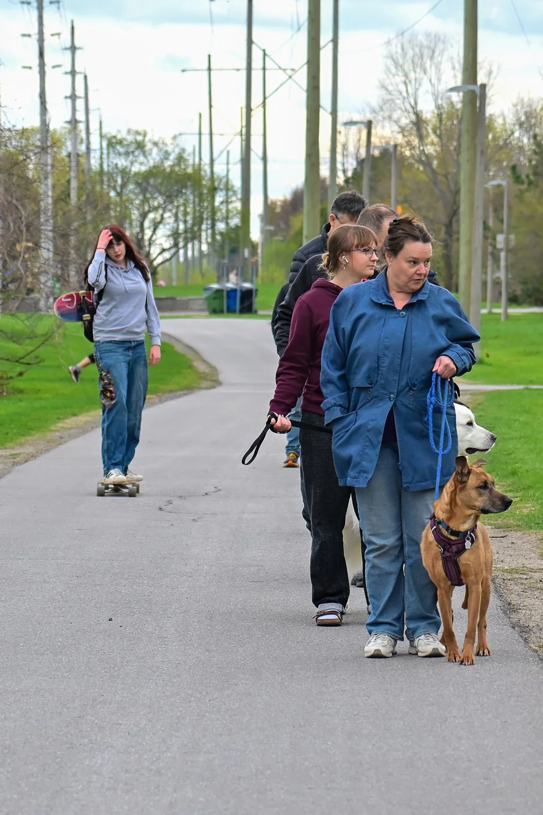 BetterDog dogs and their people at a Pack Walk