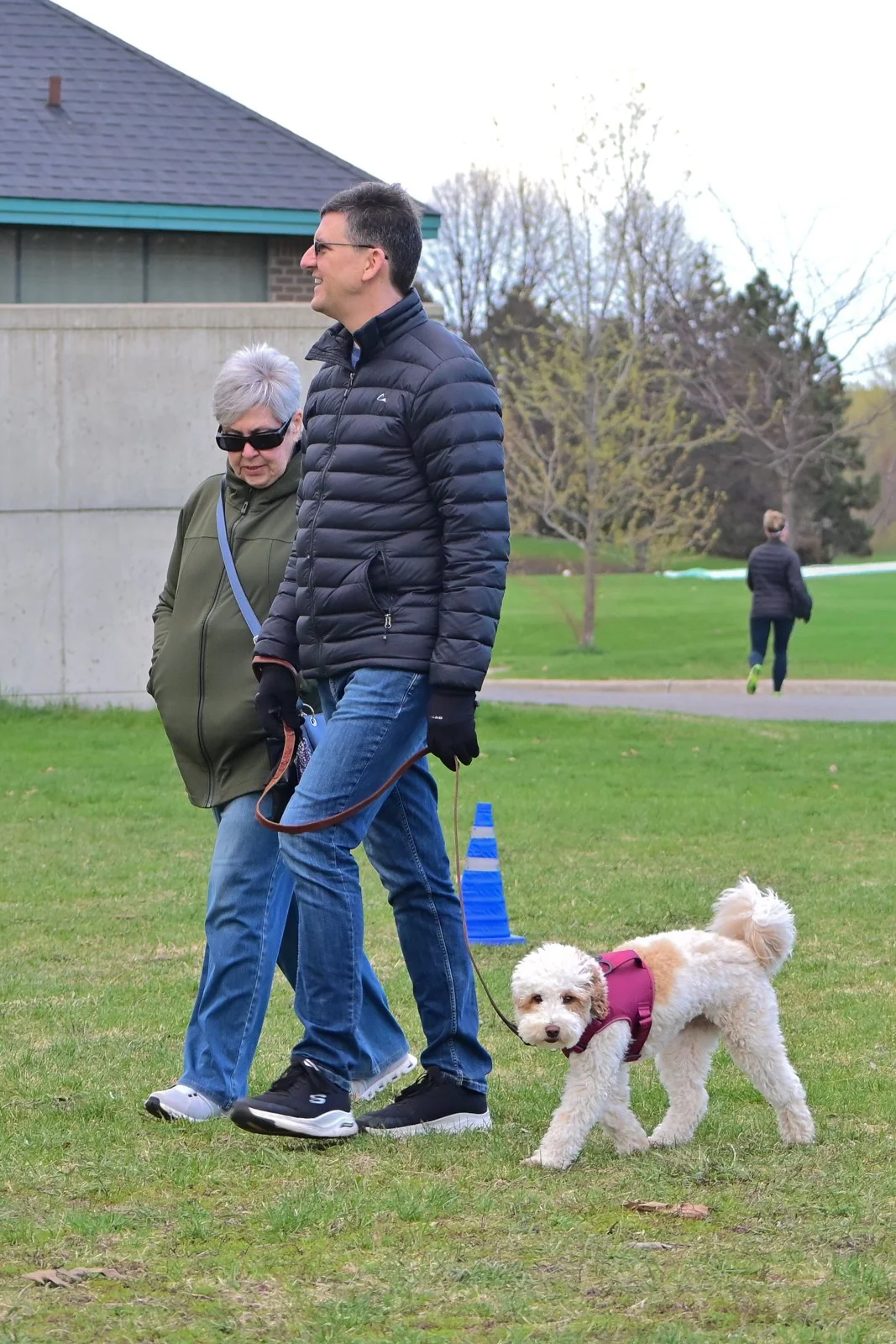BetterDog dogs and their people at a Pack Walk