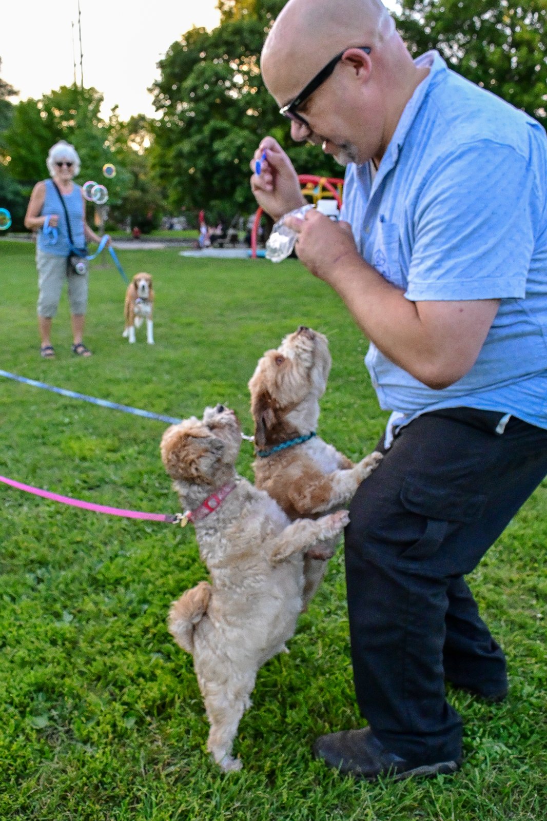 Jon working with a dog outdoors