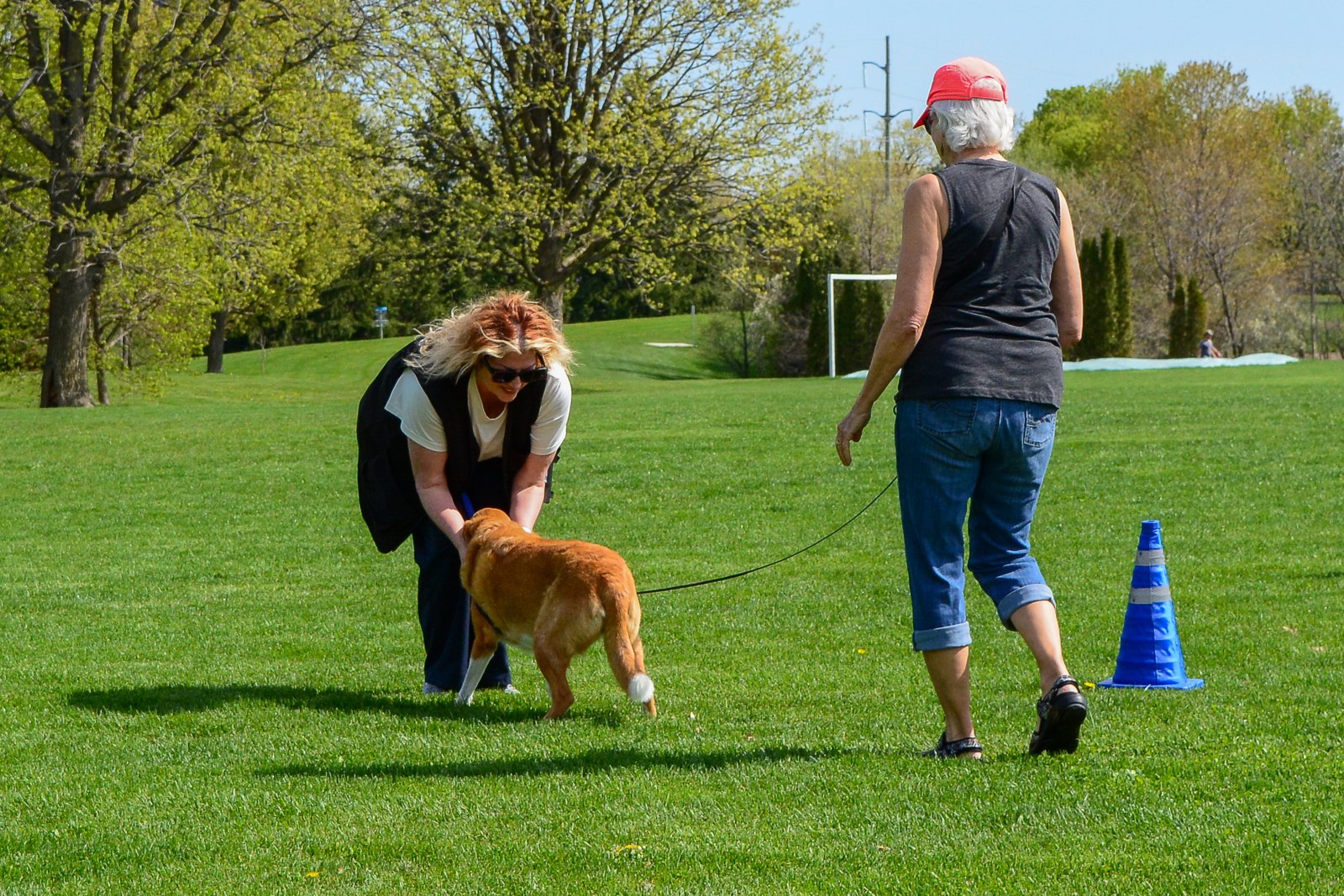 Nancy coaching a client and Luna outdoors