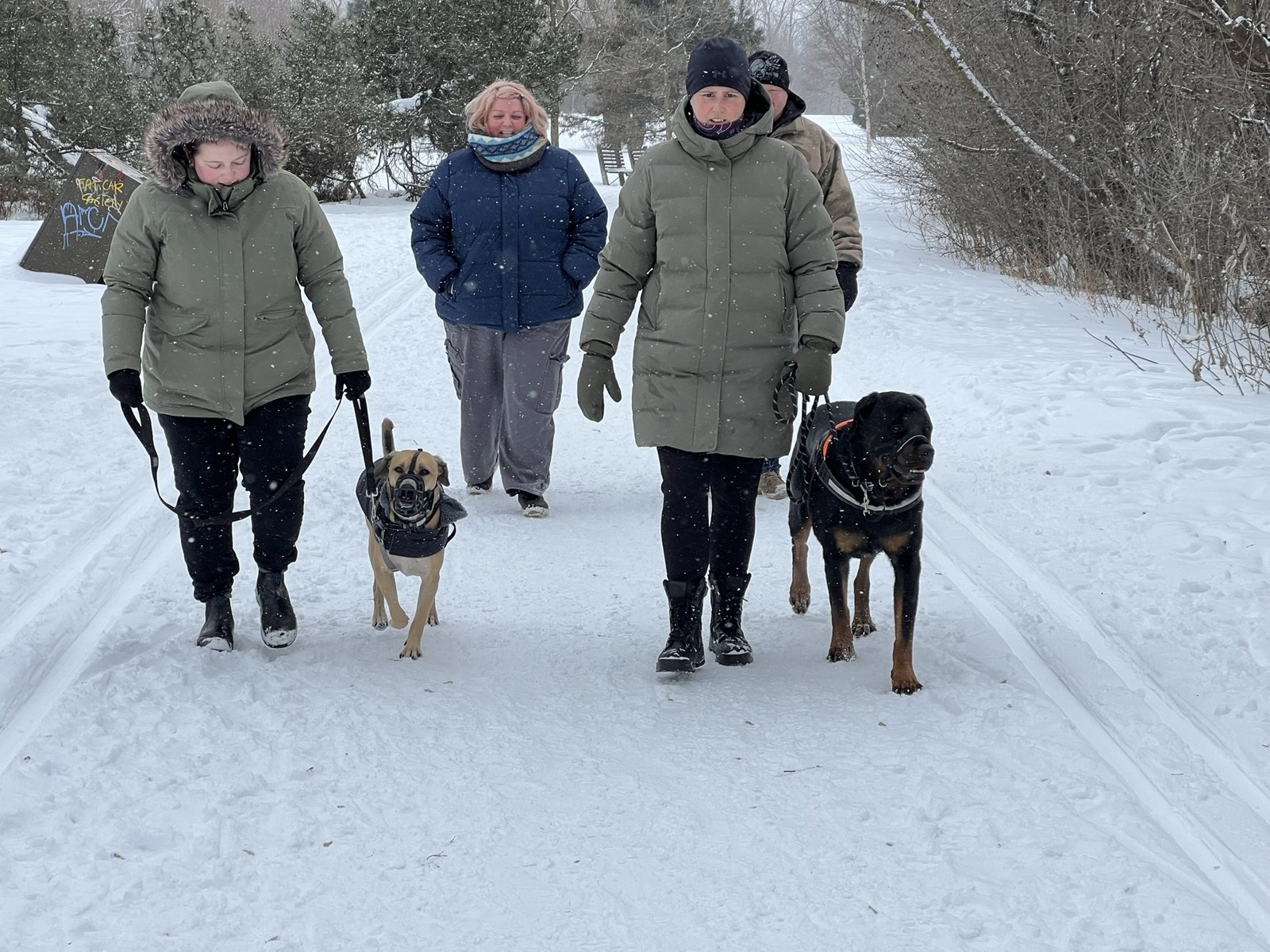 Nancy and a group walking dogs in winter