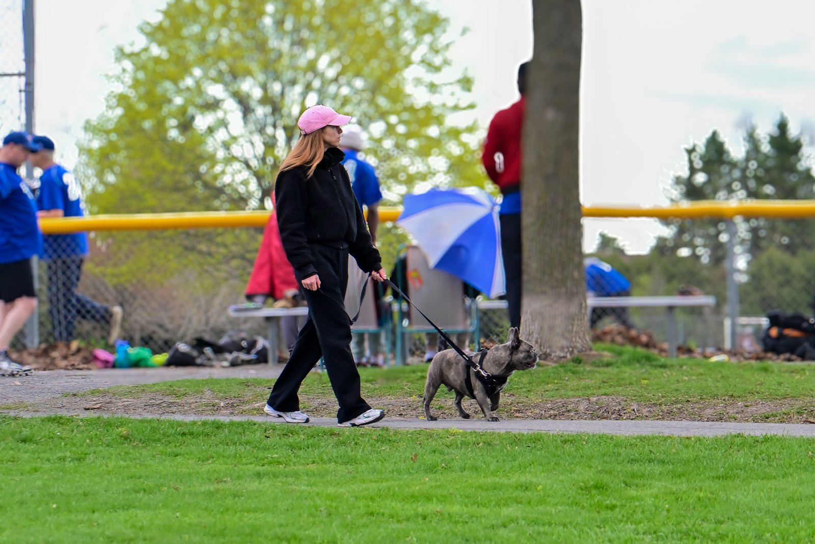 BetterDog dogs and their people at a Pack Walk