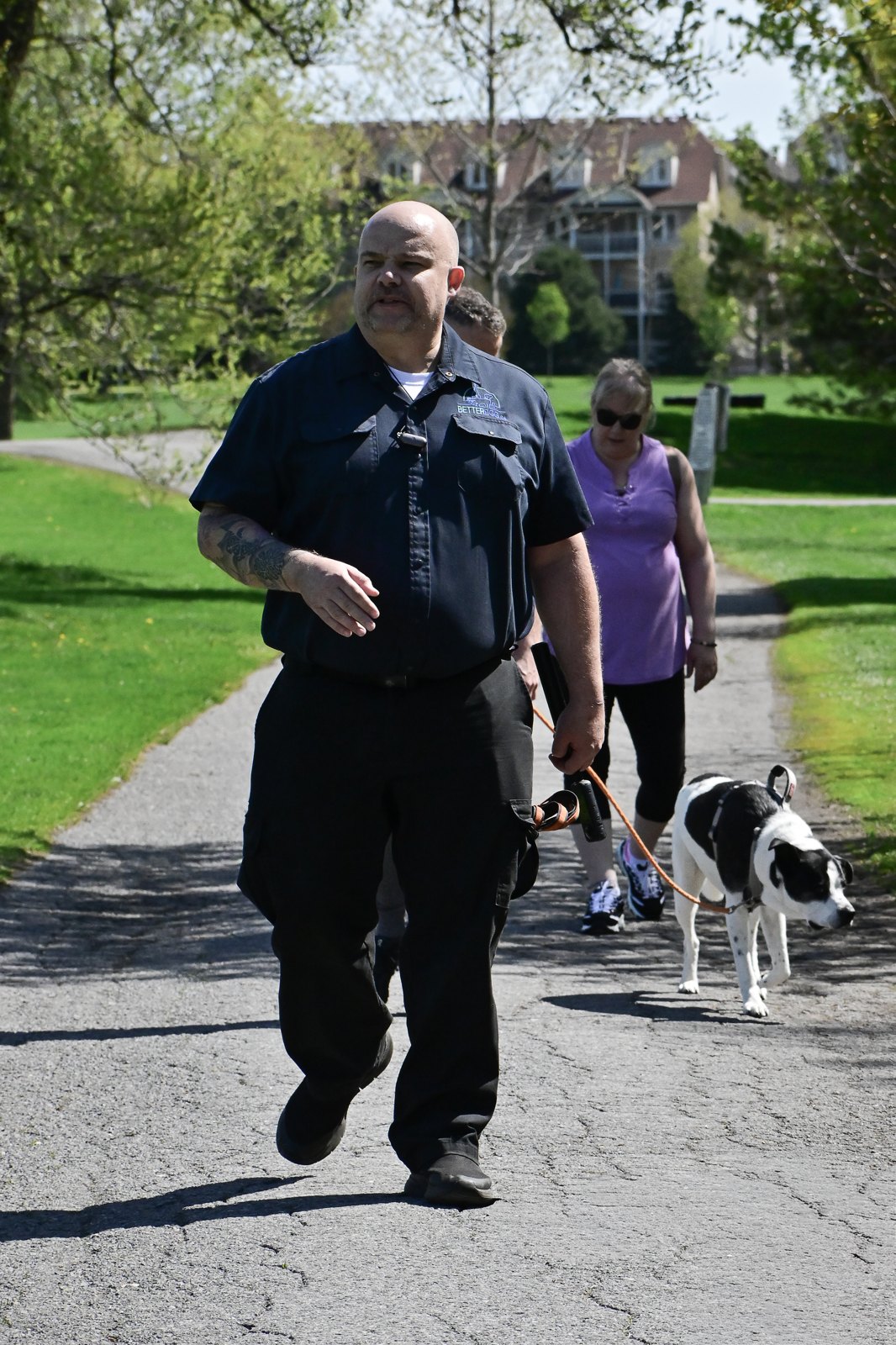 BetterDog dogs and their people at a Pack Walk