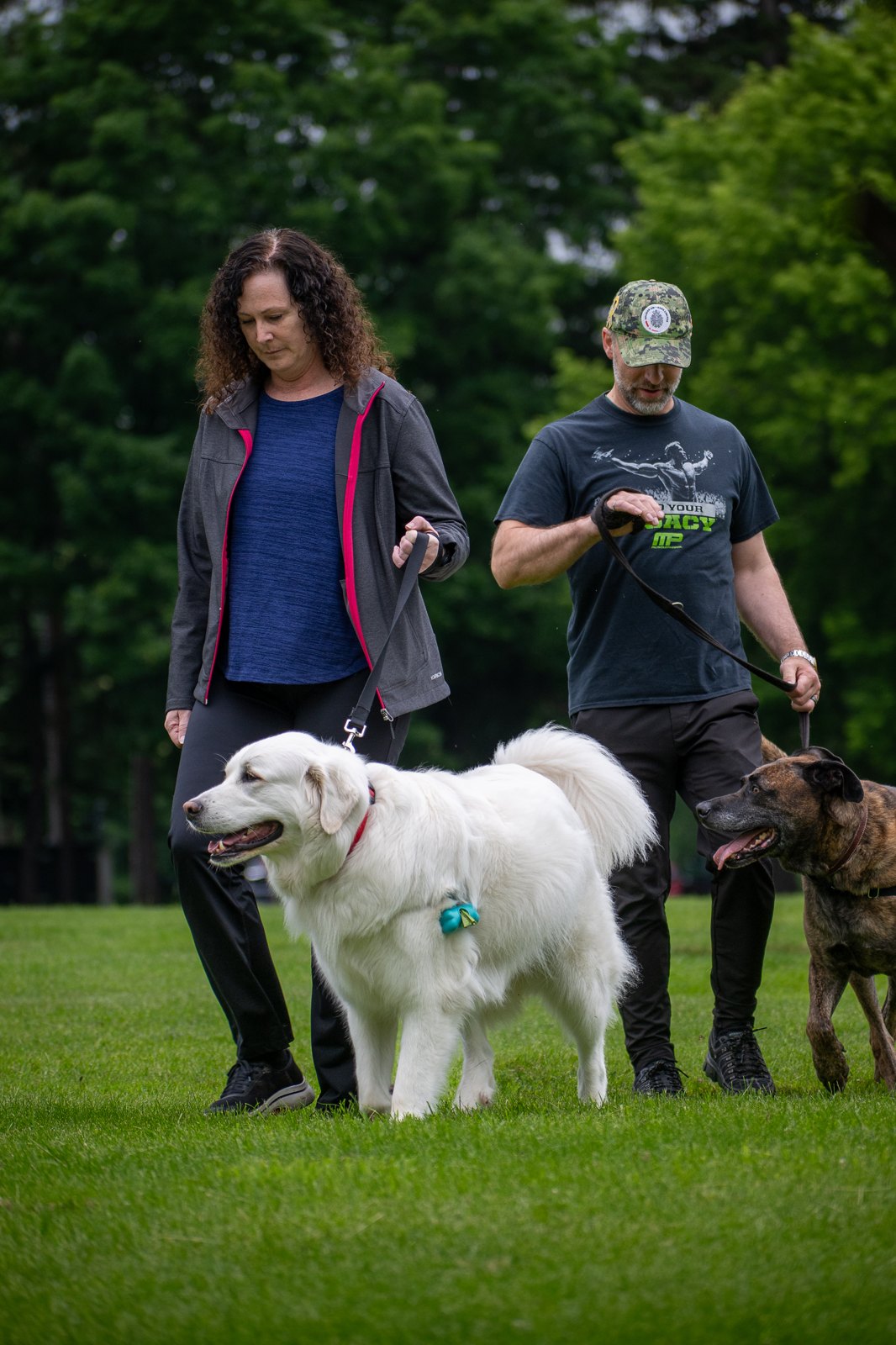 BetterDog dogs and their people at a Pack Walk