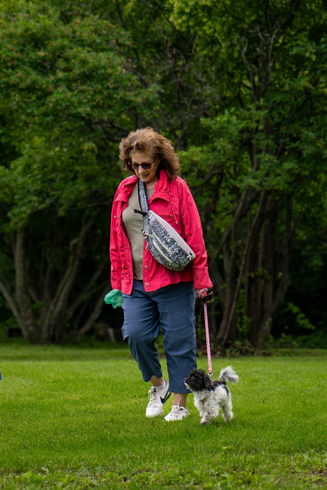 BetterDog dogs and their people at a Pack Walk
