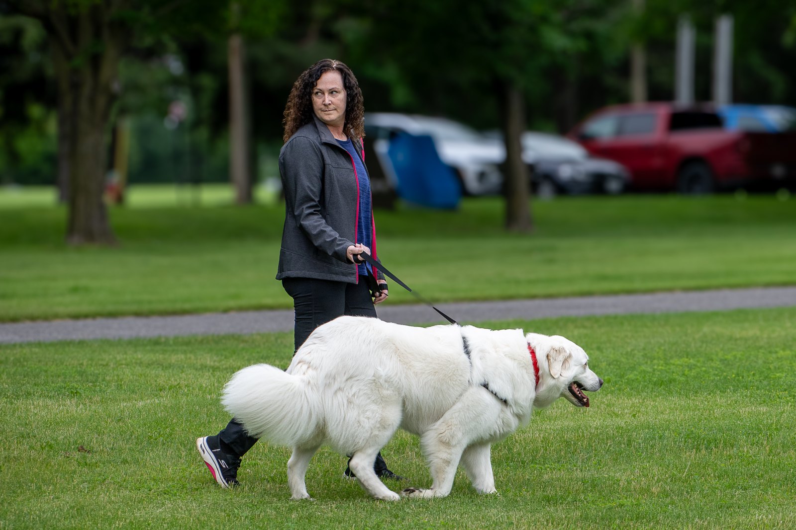 A dog and owner at a BetterDog Pack Walk