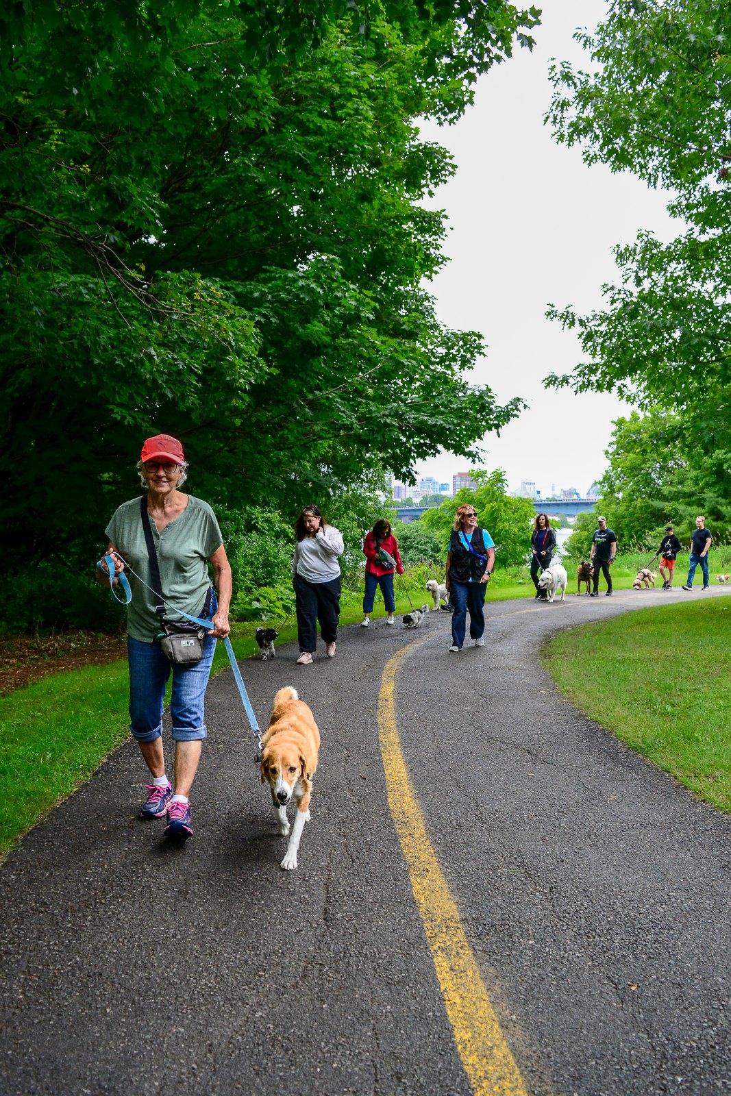 BetterDog dogs and their people at a Pack Walk