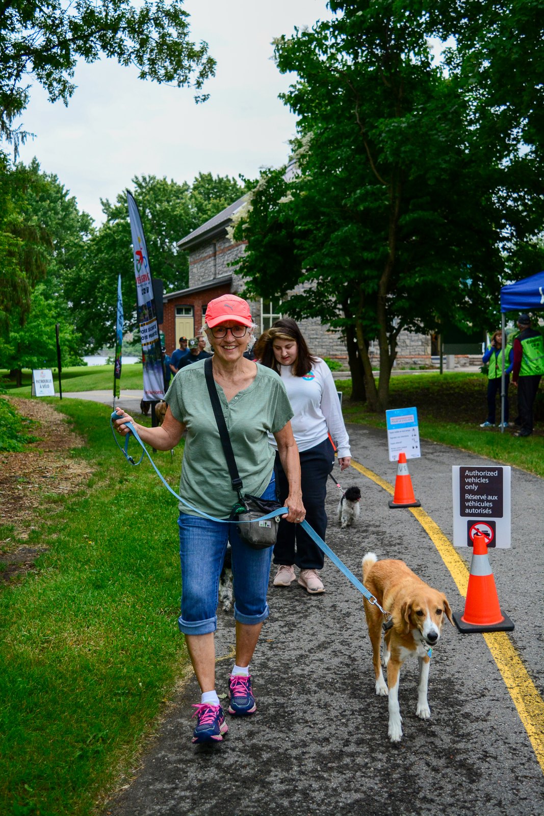 BetterDog dogs and their people at a Pack Walk