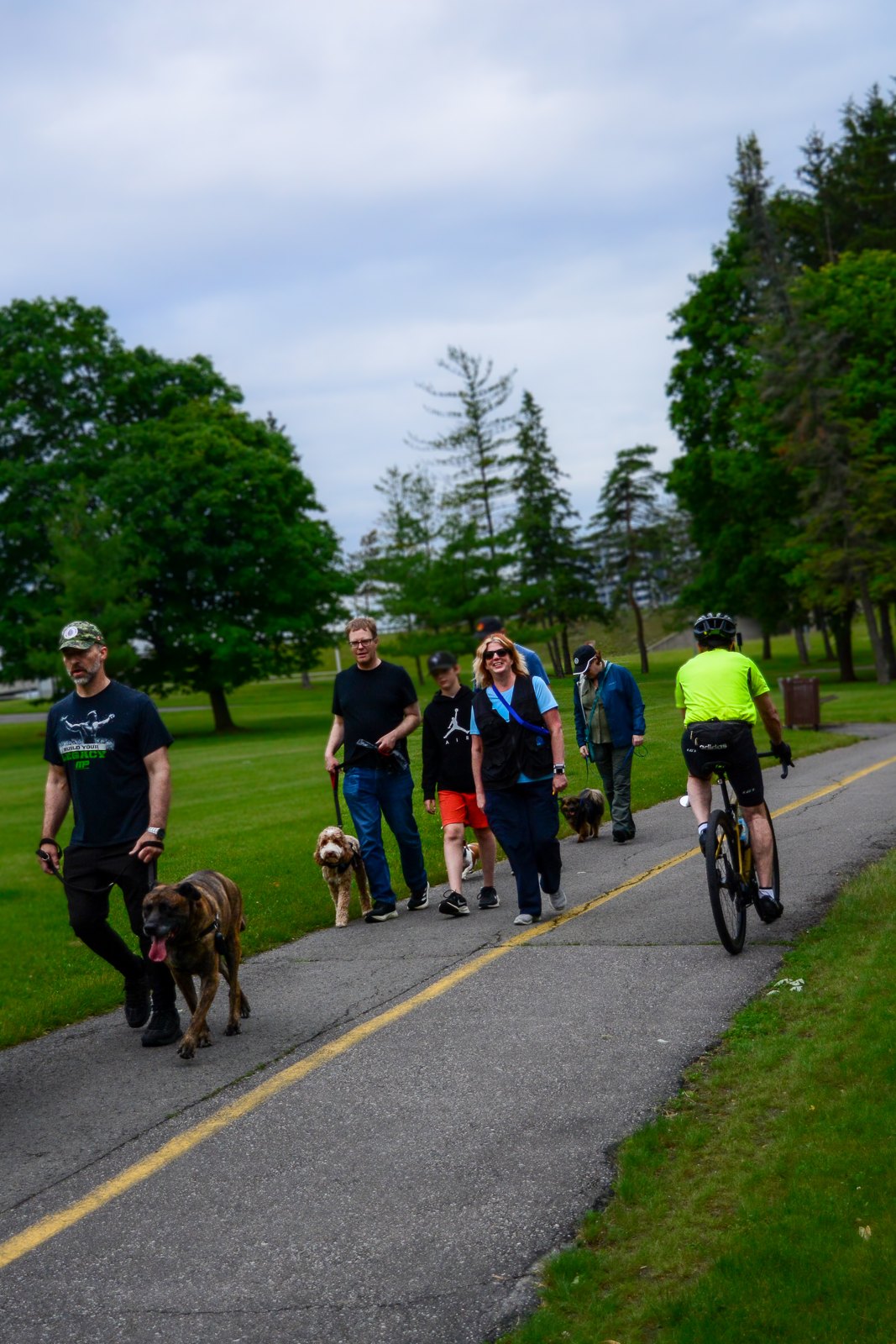BetterDog dogs and their people at a Pack Walk