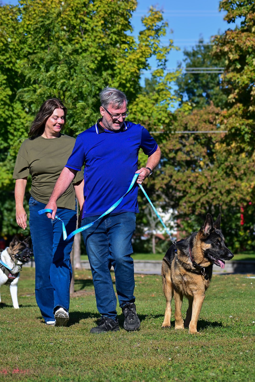 BetterDog dogs and their people at a Pack Walk