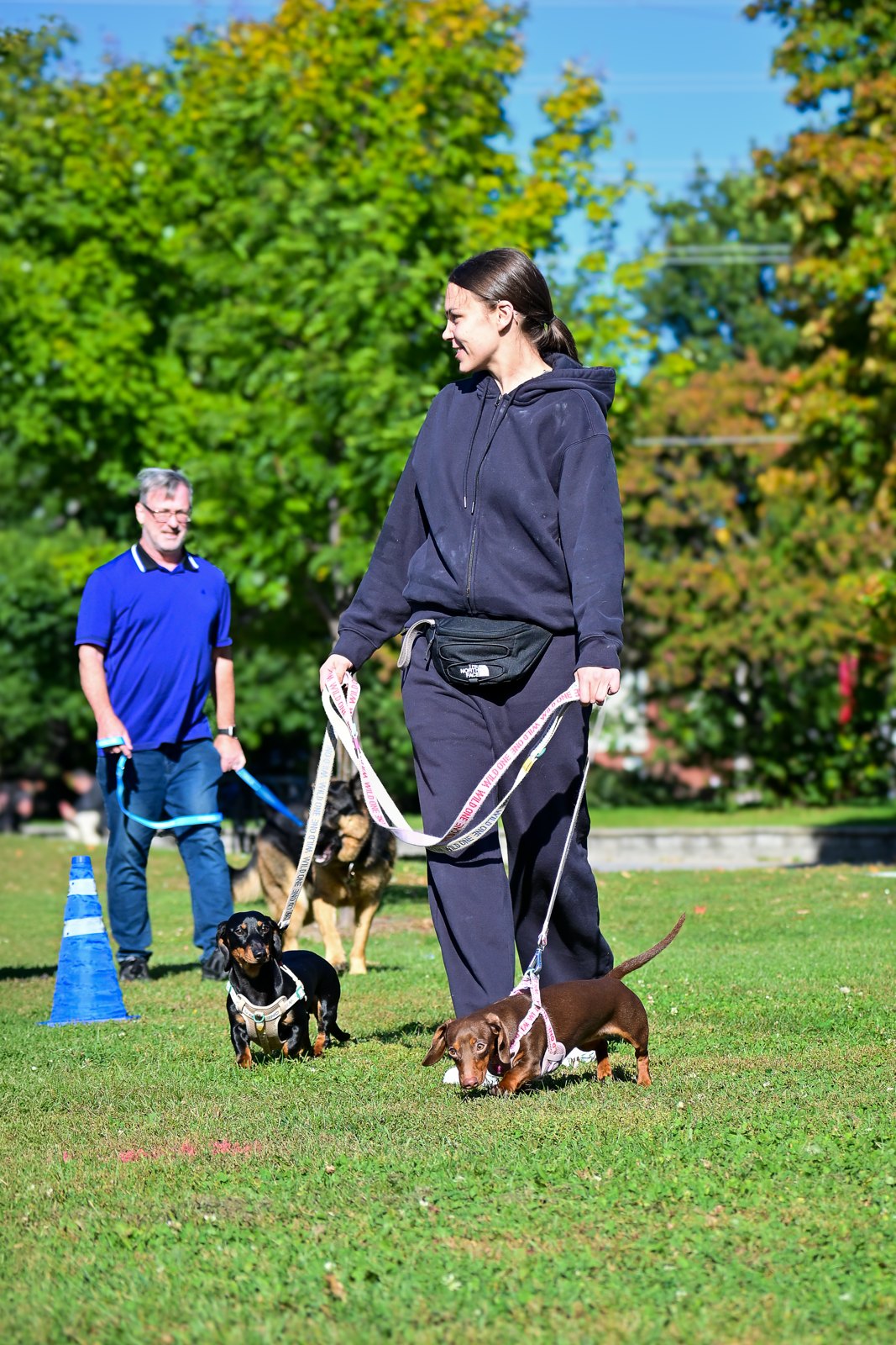 BetterDog dogs and their people at a Pack Walk