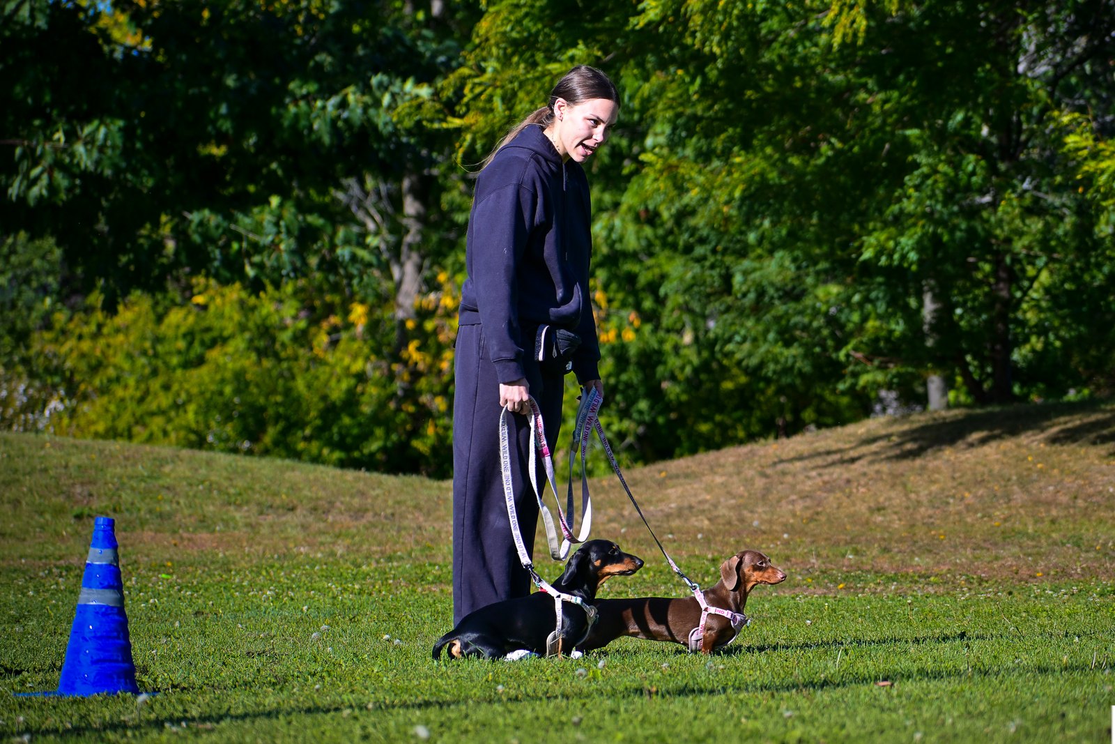 BetterDog dogs and their people at a Pack Walk