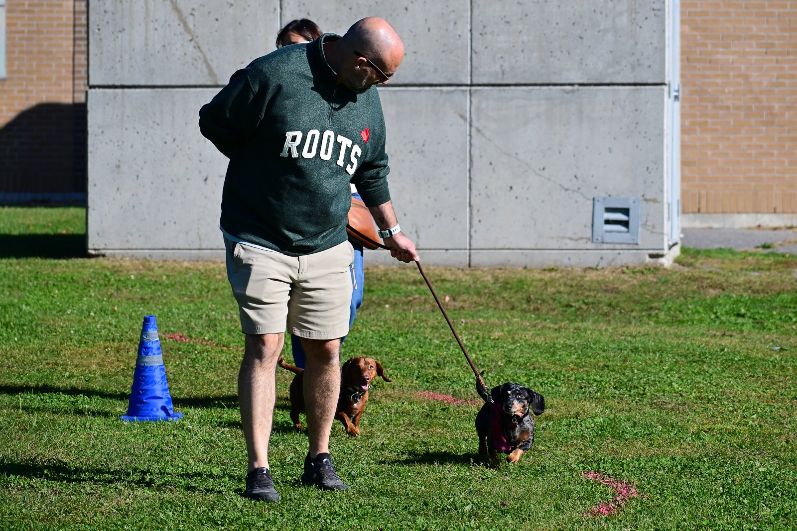 BetterDog dogs and their people at a Pack Walk