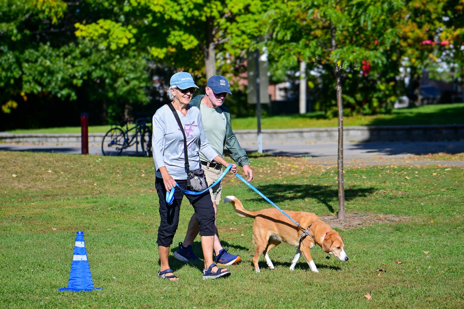 Luna walking with her owner