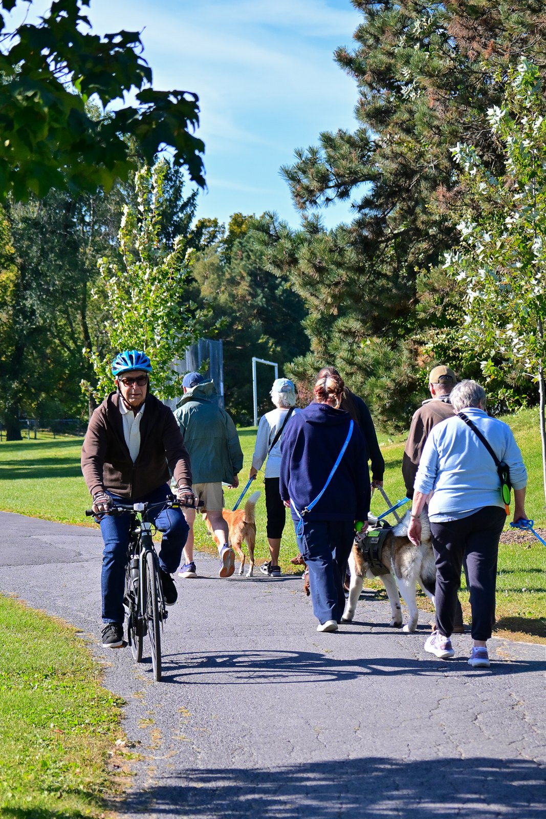 Dogs and people sharing a BetterDog Pack Walk